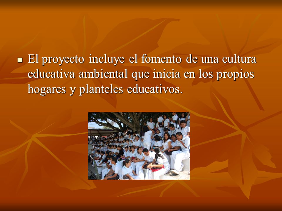 El proyecto incluye el fomento de una cultura educativa ambiental que inicia en los propios hogares y planteles educativos.