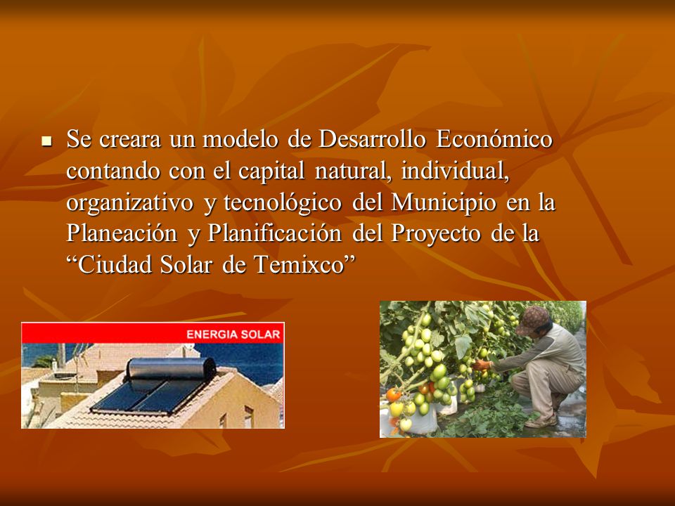 Se creara un modelo de Desarrollo Económico contando con el capital natural, individual, organizativo y tecnológico del Municipio en la Planeación y Planificación del Proyecto de la Ciudad Solar de Temixco