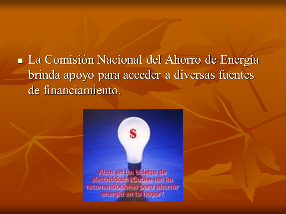 La Comisión Nacional del Ahorro de Energía brinda apoyo para acceder a diversas fuentes de financiamiento.