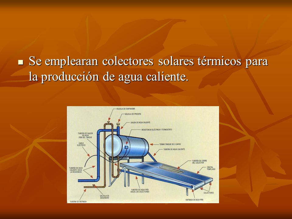 Se emplearan colectores solares térmicos para la producción de agua caliente.