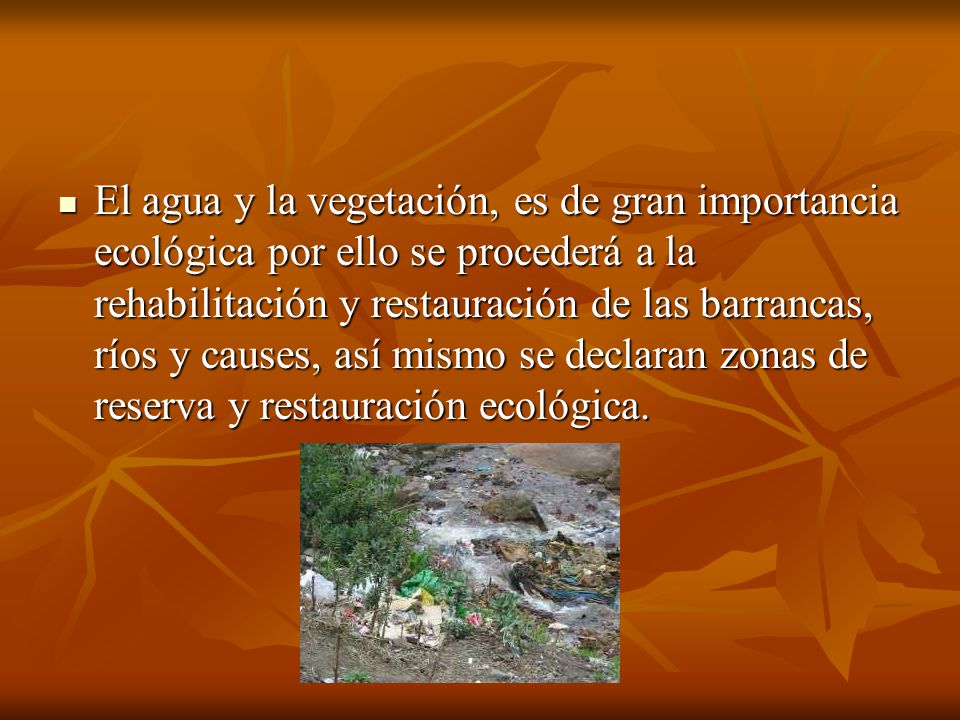 El agua y la vegetación, es de gran importancia ecológica por ello se procederá a la rehabilitación y restauración de las barrancas, ríos y causes, así mismo se declaran zonas de reserva y restauración ecológica.