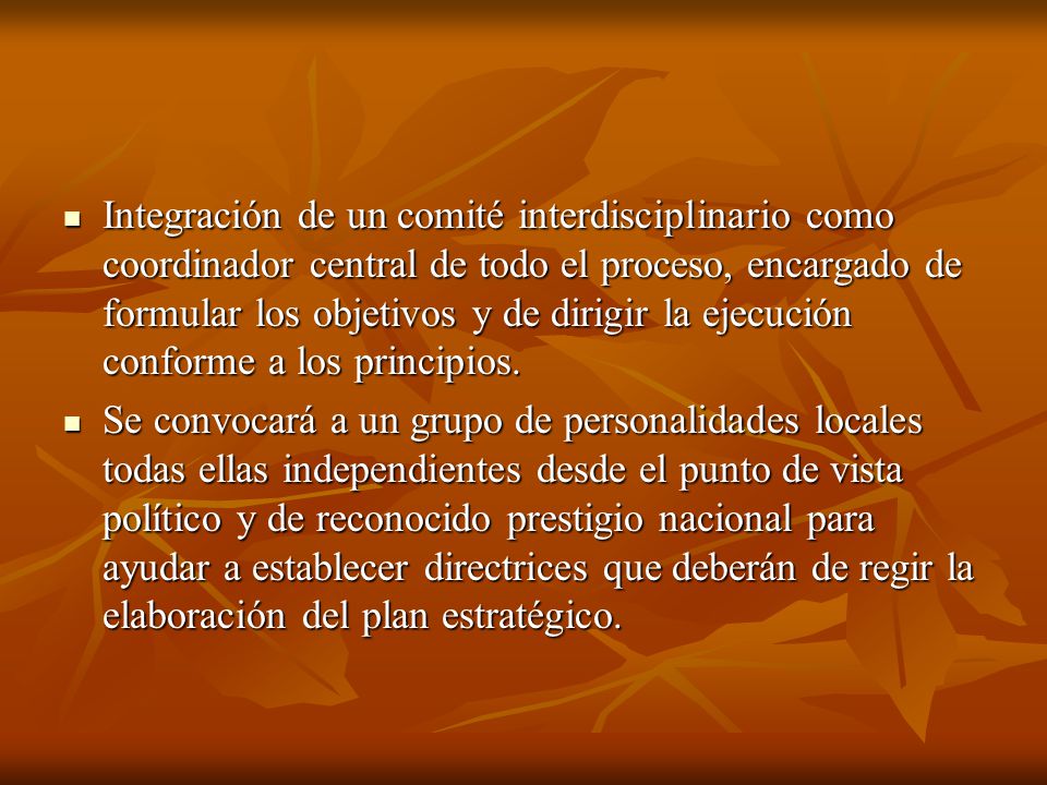 Integración de un comité interdisciplinario como coordinador central de todo el proceso, encargado de formular los objetivos y de dirigir la ejecución conforme a los principios.