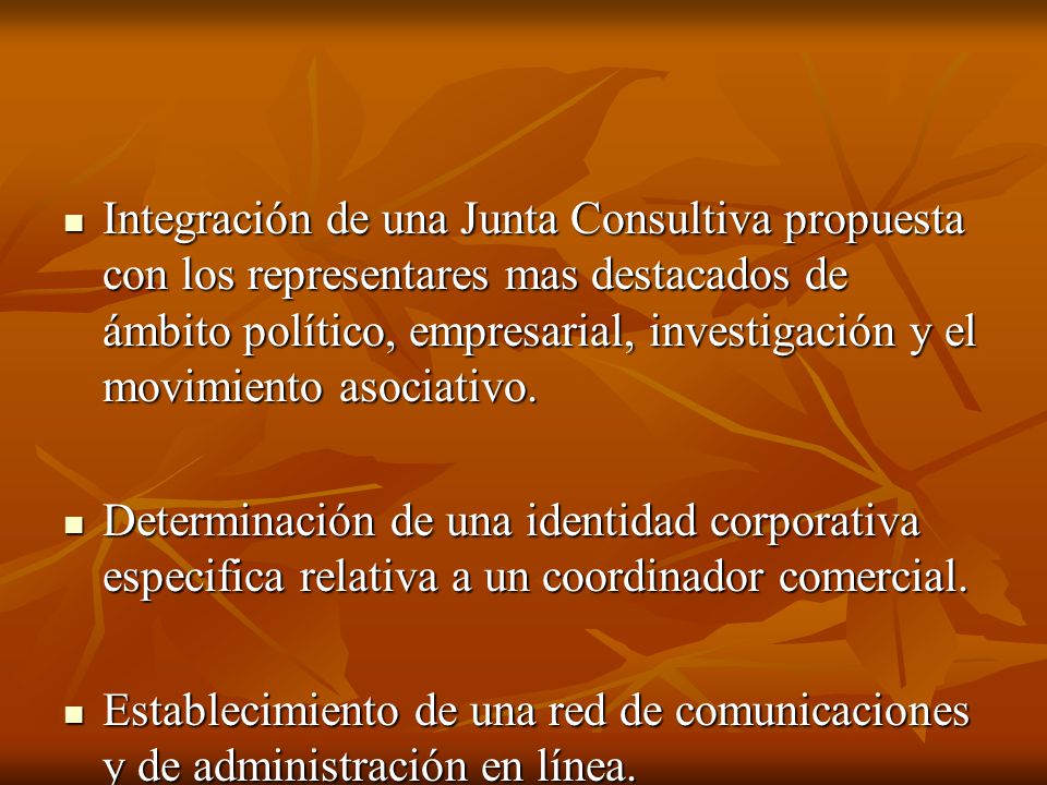 Integración de una Junta Consultiva propuesta con los representares mas destacados de ámbito político, empresarial, investigación y el movimiento asociativo.