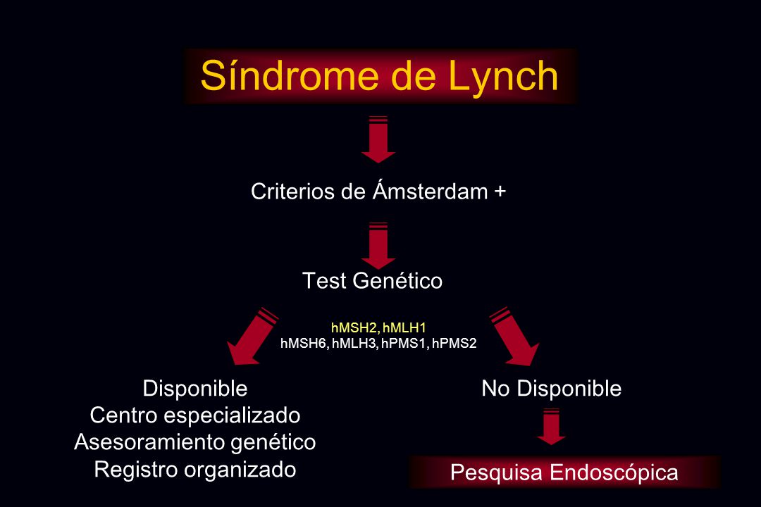 Síndrome de Lynch Criterios de Ámsterdam + Test Genético Disponible