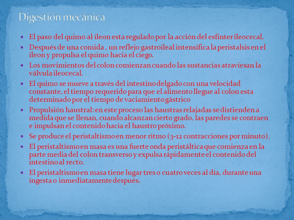 Digestión mecánica El paso del quimo al íleon esta regulado por la acción del esfínter ileocecal.