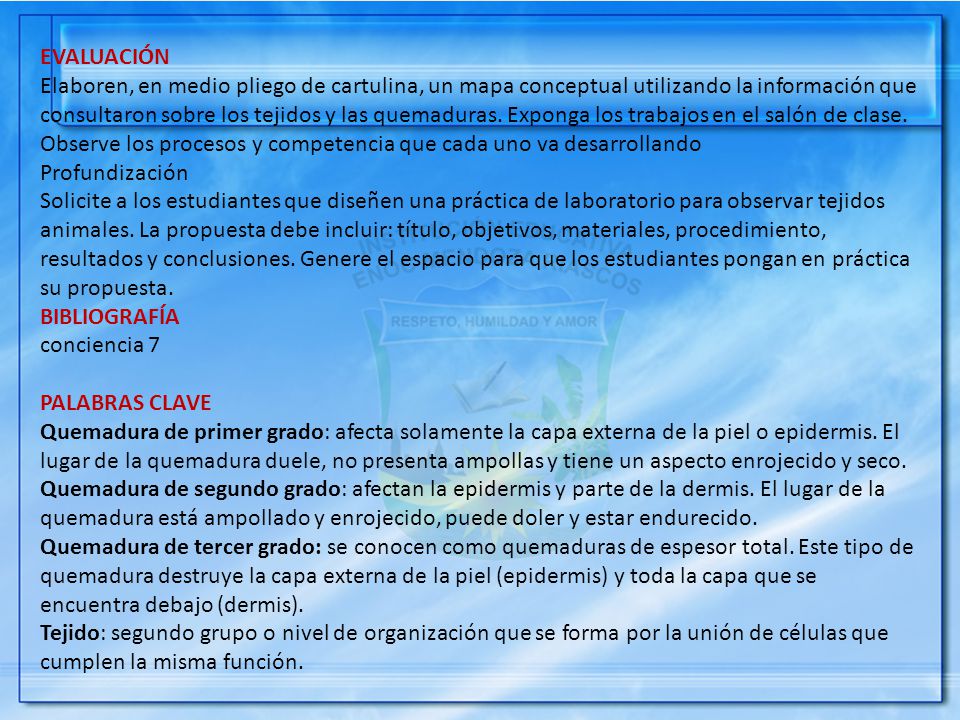 EVALUACIÓN Elaboren, en medio pliego de cartulina, un mapa conceptual utilizando la información que consultaron sobre los tejidos y las quemaduras. Exponga los trabajos en el salón de clase. Observe los procesos y competencia que cada uno va desarrollando