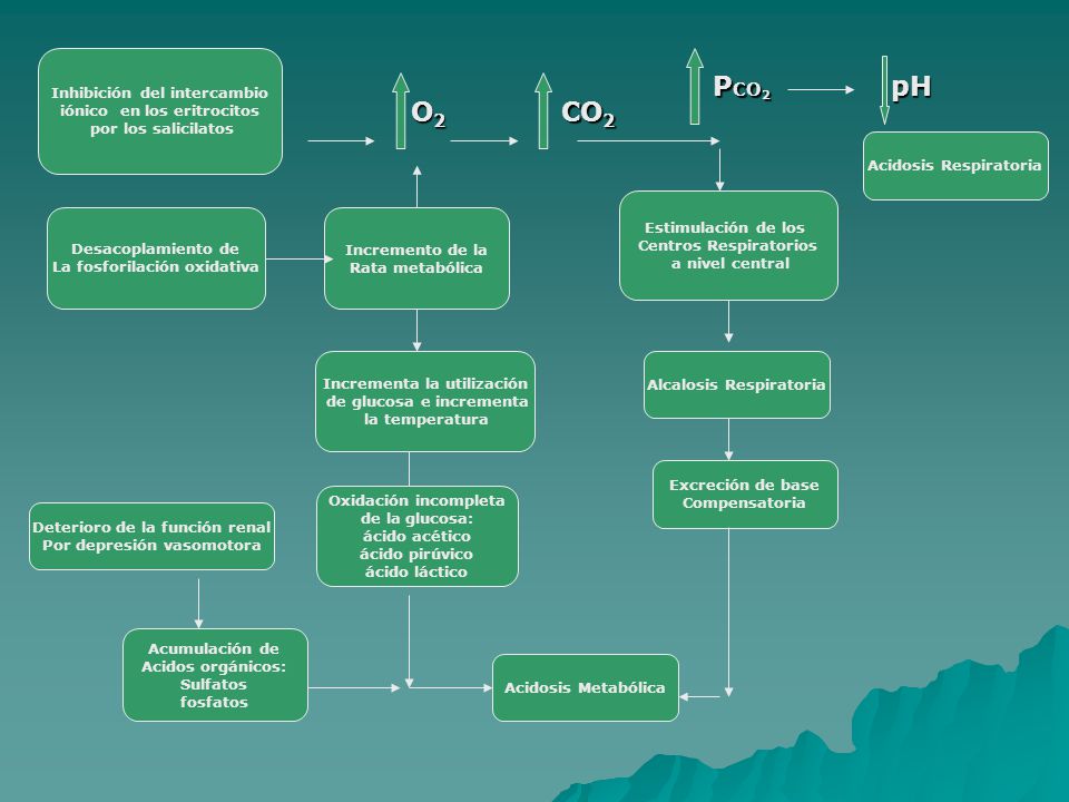 PCO2 pH O2 CO2 Inhibición del intercambio iónico en los eritrocitos