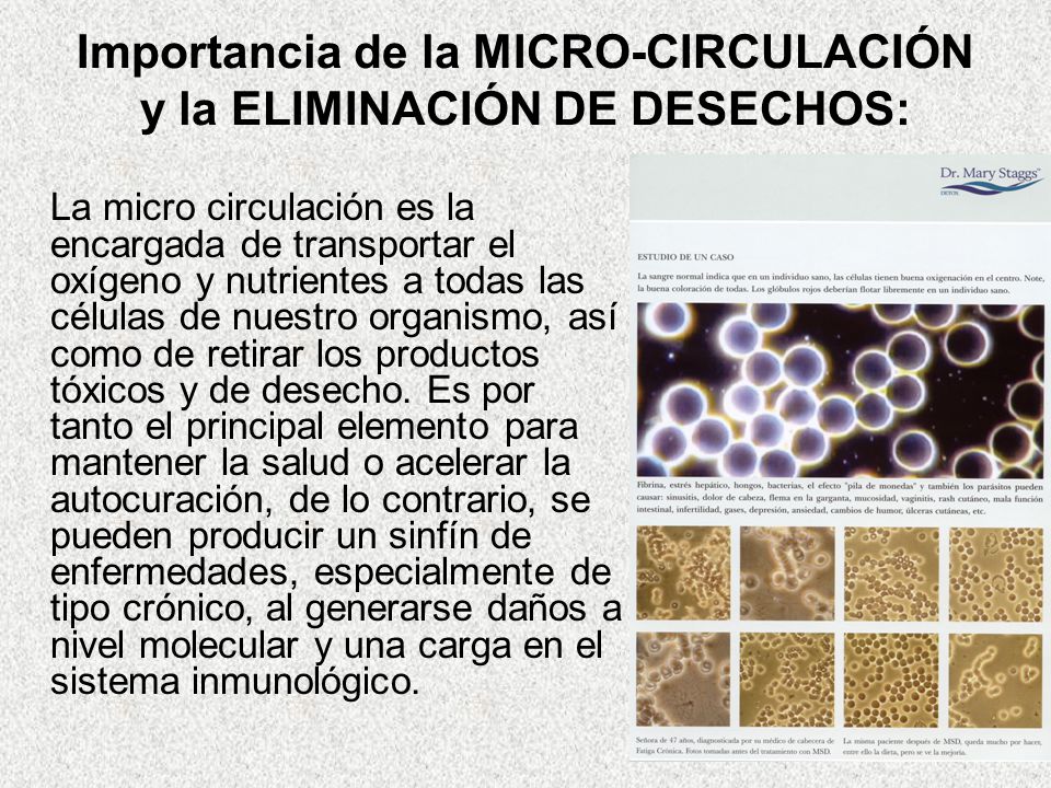 Importancia de la MICRO-CIRCULACIÓN y la ELIMINACIÓN DE DESECHOS: