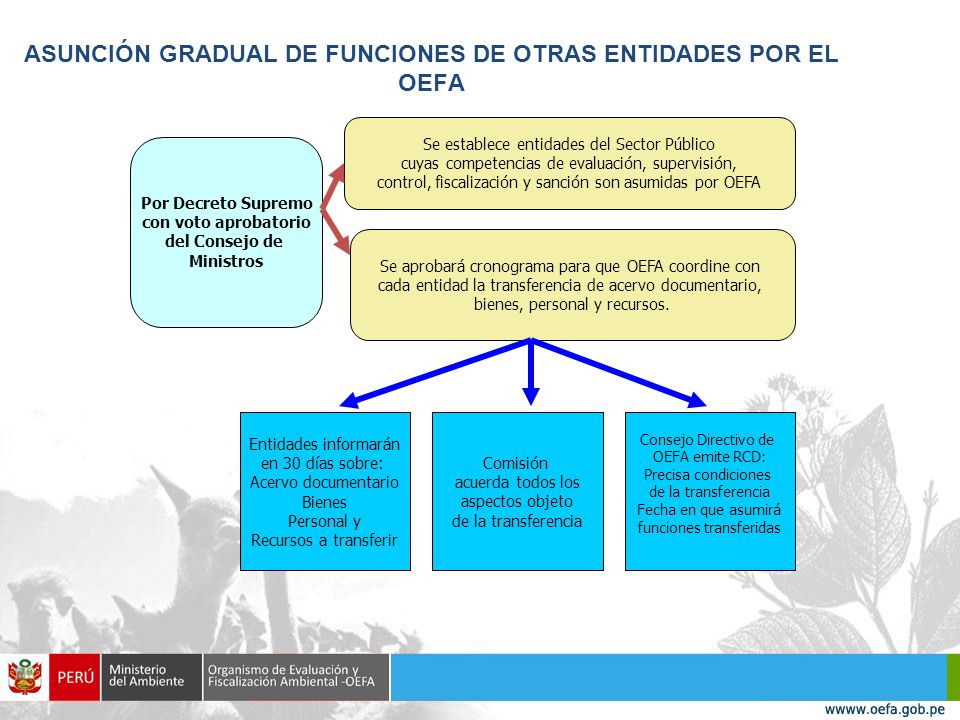 ASUNCIÓN GRADUAL DE FUNCIONES DE OTRAS ENTIDADES POR EL OEFA