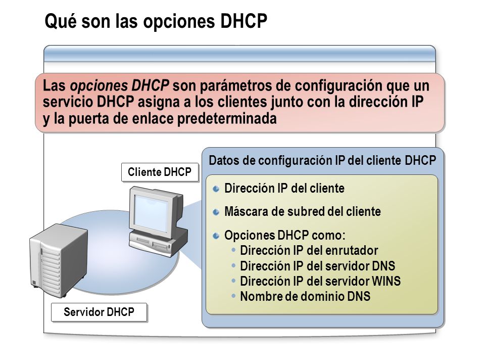 Qué son las opciones DHCP