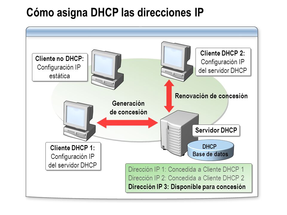 Cómo asigna DHCP las direcciones IP