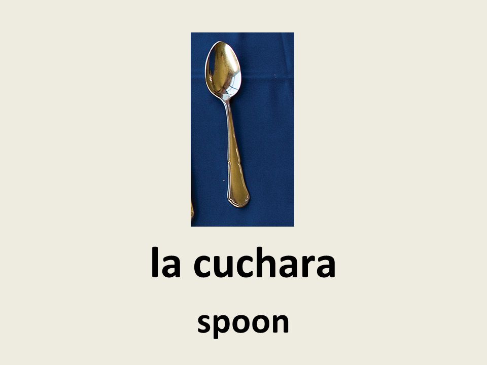 la cuchara spoon