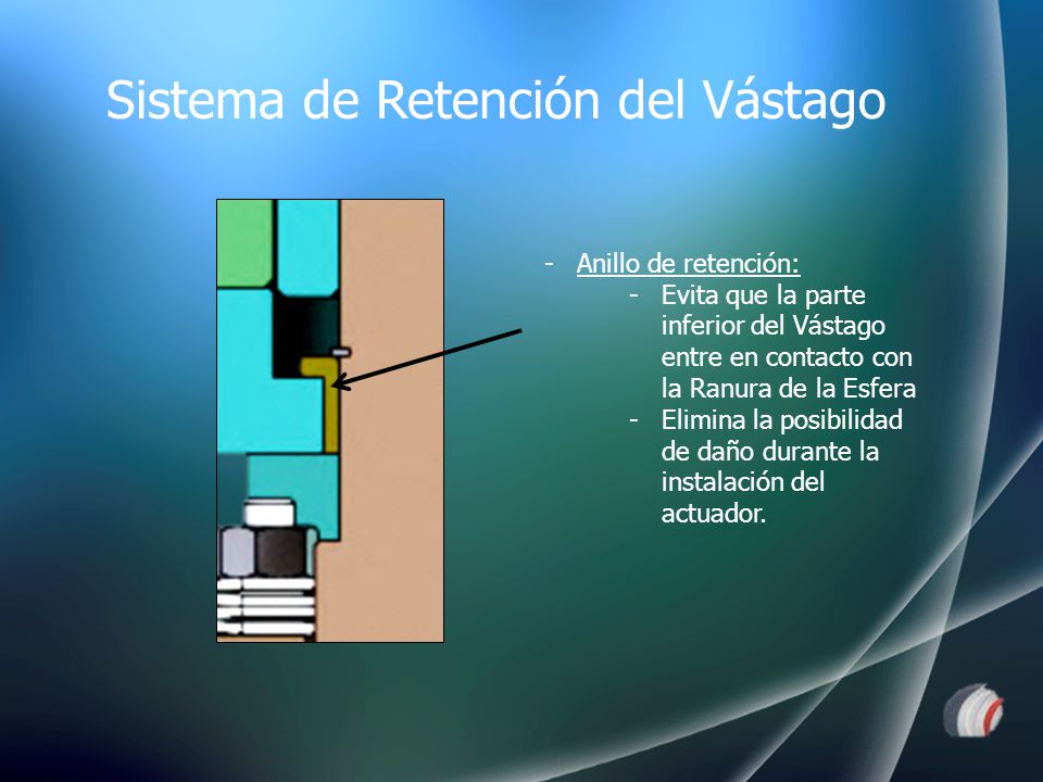 Sistema de Retención del Vástago