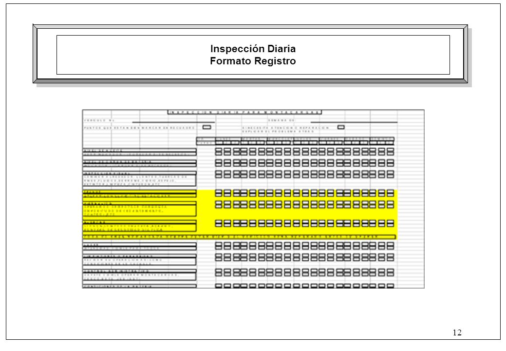 Inspección Diaria Formato Registro