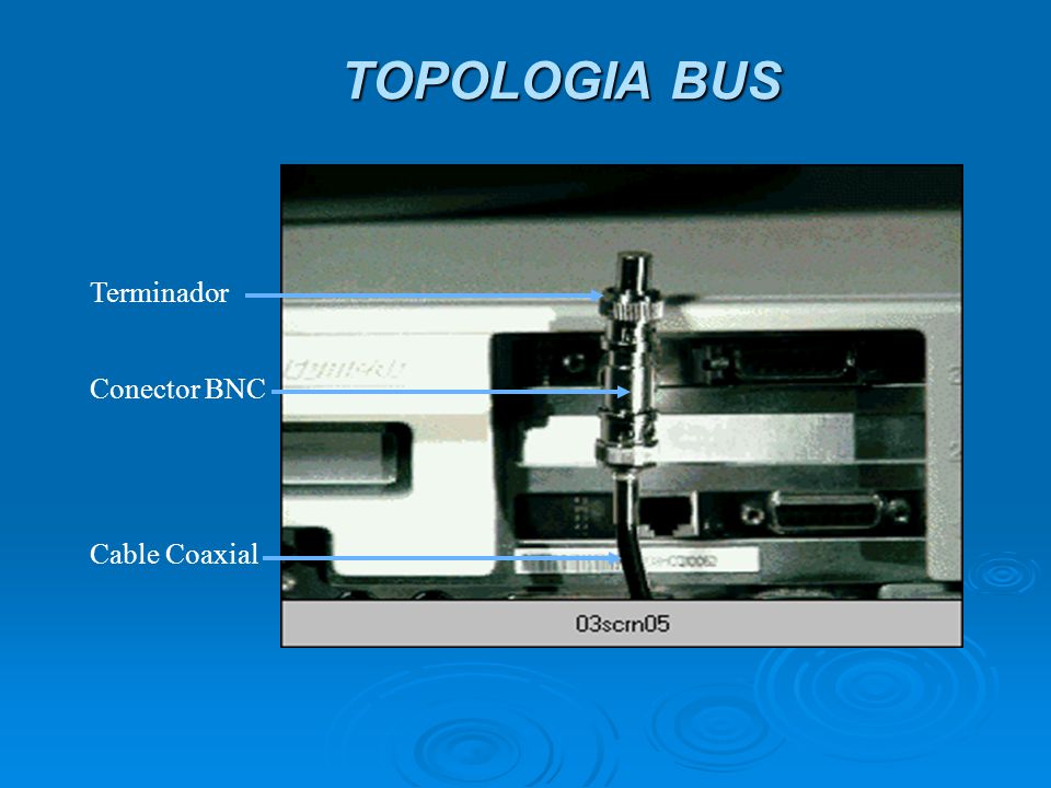 TOPOLOGIA BUS Terminador Conector BNC Cable Coaxial