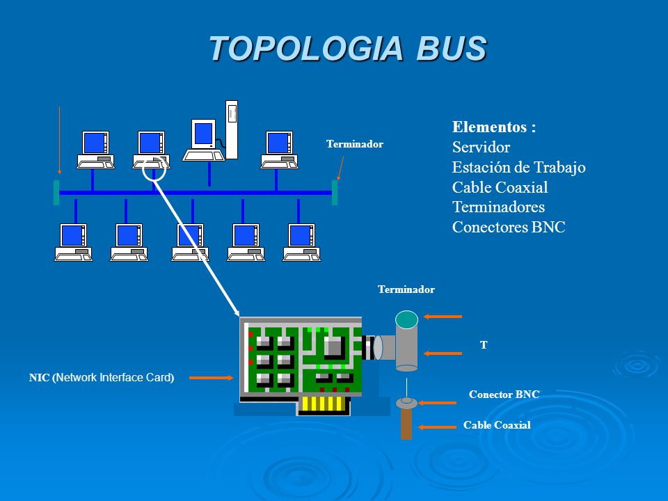 TOPOLOGIA BUS Elementos : Servidor Estación de Trabajo Cable Coaxial