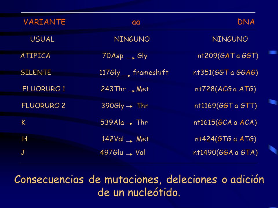 VARIANTE aa DNA USUAL NINGUNO NINGUNO ATIPICA 70Asp Gly nt209(GAT a GGT) SILENTE 117Gly frameshift nt351(GGT a GGAG) FLUORURO 1 243Thr Met nt728(ACG a ATG) FLUORURO 2 390Gly Thr nt1169(GGT a GTT) K 539Ala Thr nt1615(GCA a ACA) H 142Val Met nt424(GTG a ATG) J 497Glu Val nt1490(GGA a GTA) Consecuencias de mutaciones, deleciones o adición de un nucleótido.