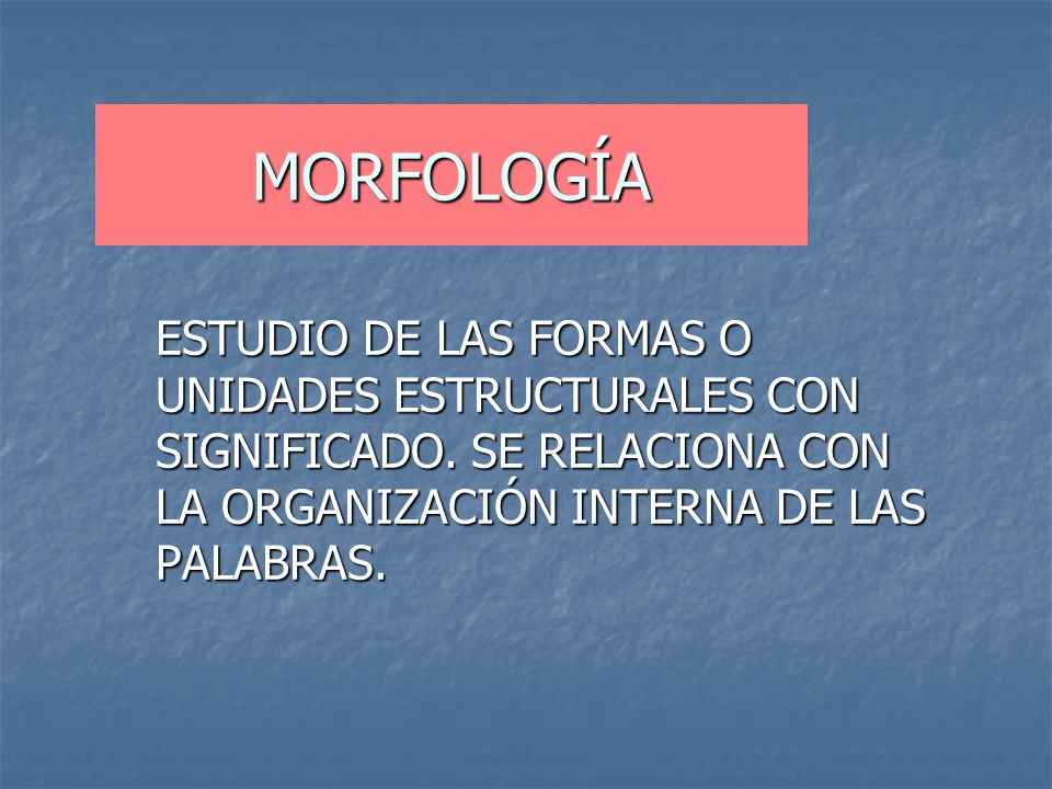 MORFOLOGÍA ESTUDIO DE LAS FORMAS O UNIDADES ESTRUCTURALES CON SIGNIFICADO.