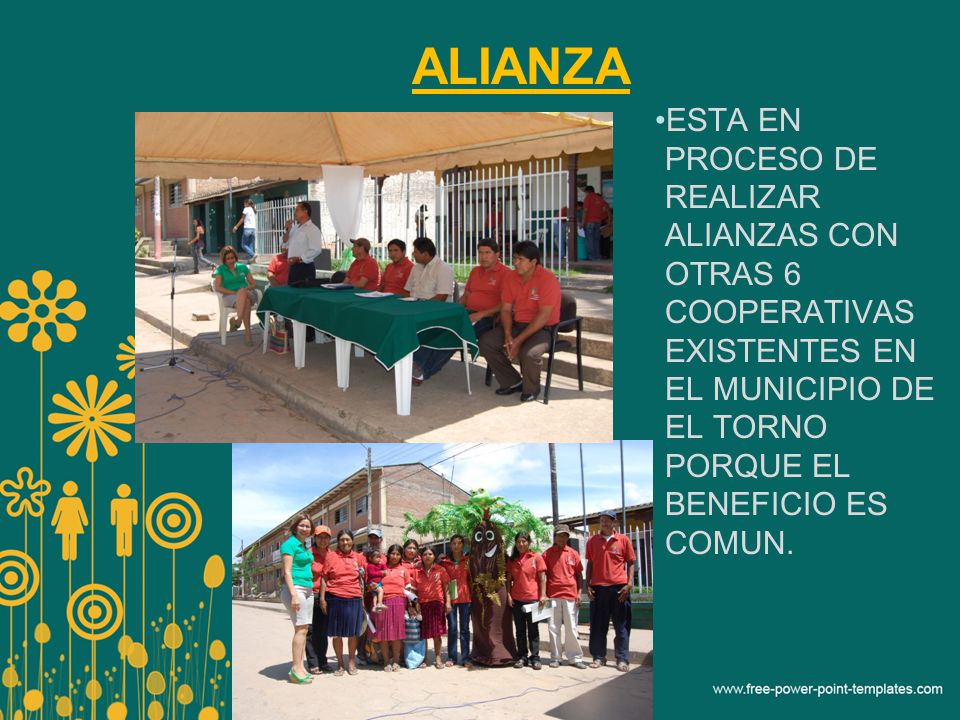 ALIANZA ESTA EN PROCESO DE REALIZAR ALIANZAS CON OTRAS 6 COOPERATIVAS EXISTENTES EN EL MUNICIPIO DE EL TORNO PORQUE EL BENEFICIO ES COMUN.