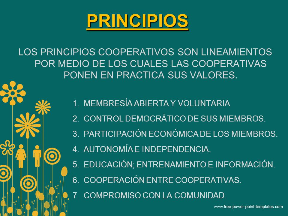 PRINCIPIOS LOS PRINCIPIOS COOPERATIVOS SON LINEAMIENTOS POR MEDIO DE LOS CUALES LAS COOPERATIVAS PONEN EN PRACTICA SUS VALORES.
