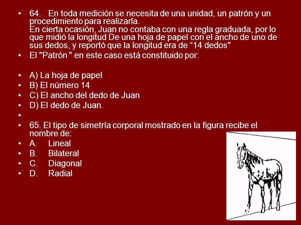 64. En toda medición se necesita de una unidad, un patrón y un procedimiento para realizarla. En cierta ocasión, Juan no contaba con una regla graduada, por lo que midió la longitud De una hoja de papel con el ancho de uno de sus dedos, y reportó que la longitud era de 14 dedos