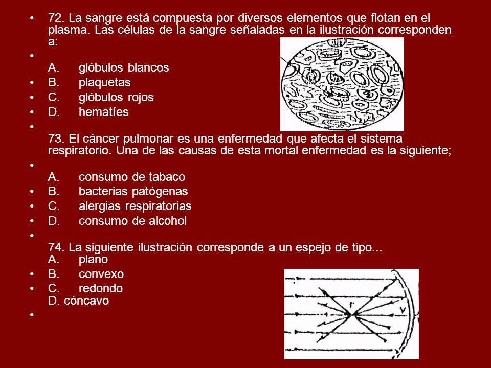 72. La sangre está compuesta por diversos elementos que flotan en el plasma. Las células de la sangre señaladas en la ilustración corresponden a: