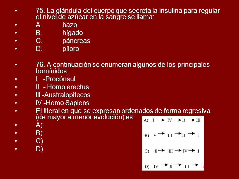 75. La glándula del cuerpo que secreta la insulina para regular el nivel de azúcar en la sangre se llama: