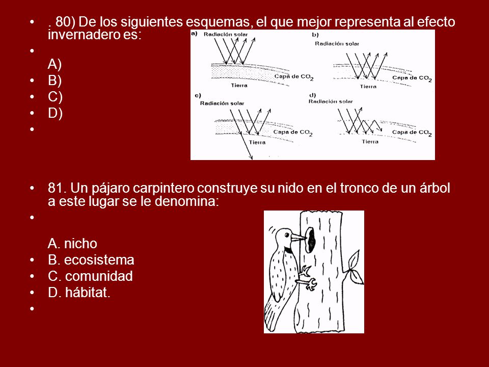 . 80) De los siguientes esquemas, el que mejor representa al efecto invernadero es:
