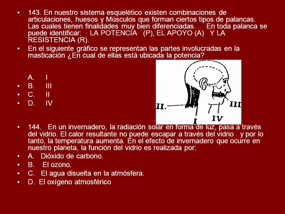143. En nuestro sistema esquelético existen combinaciones de articulaciones, huesos y Músculos que forman ciertos tipos de palancas. Las cuales tienen finalidades muy bien diferenciadas. En toda palanca se puede identificar: LA POTENCIA (P), EL APOYO (A) Y LA RESISTENCIA (R).