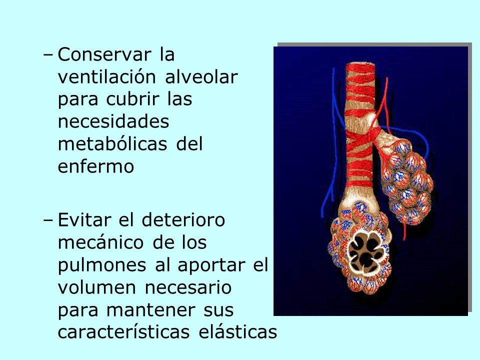 Conservar la ventilación alveolar para cubrir las necesidades metabólicas del enfermo