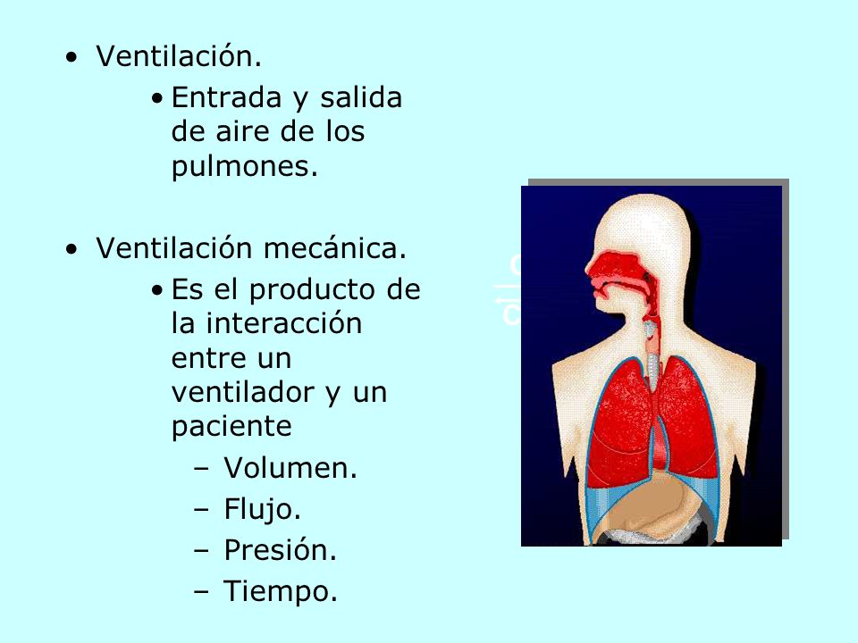Ventilación. Entrada y salida de aire de los pulmones. Ventilación mecánica. Es el producto de la interacción entre un ventilador y un paciente.