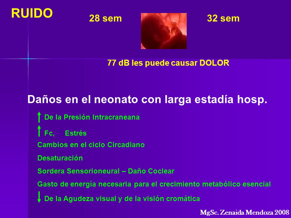 RUIDO Daños en el neonato con larga estadía hosp. 28 sem 32 sem