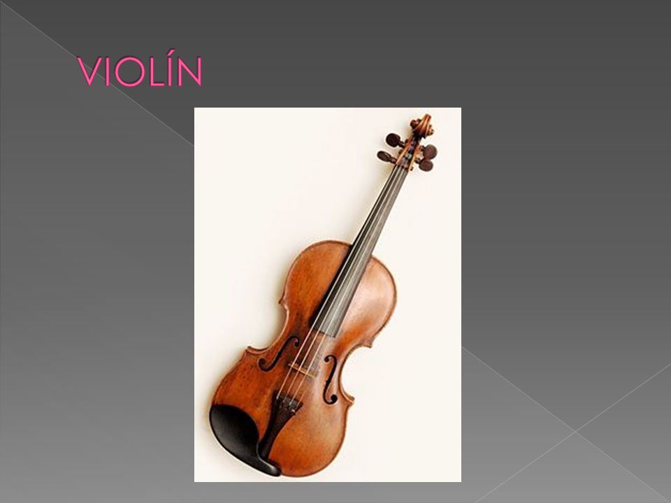 VIOLÍN El más agudo y ágil de la familia de cuerda frotada