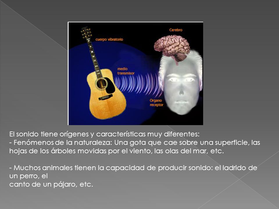 El sonido tiene orígenes y características muy diferentes: - Fenómenos de la naturaleza: Una gota que cae sobre una superficie, las hojas de los árboles movidas por el viento, las olas del mar, etc.