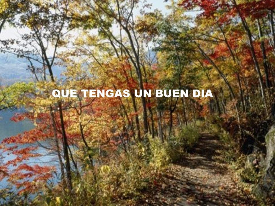 QUE TENGAS UN BUEN DIA