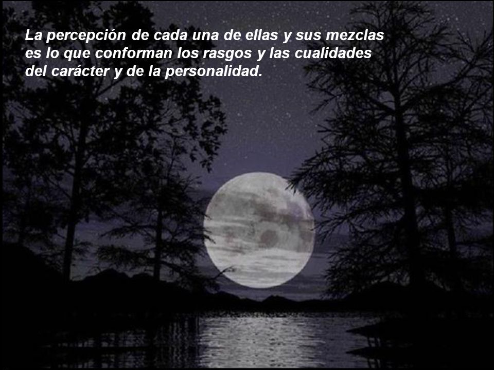 La percepción de cada una de ellas y sus mezclas es lo que conforman los rasgos y las cualidades del carácter y de la personalidad.