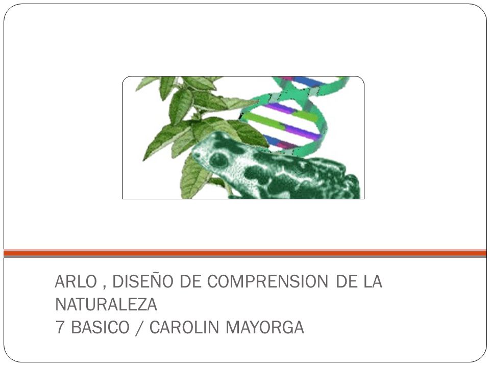 ARLO , DISEÑO DE COMPRENSION DE LA NATURALEZA 7 BASICO / CAROLIN MAYORGA