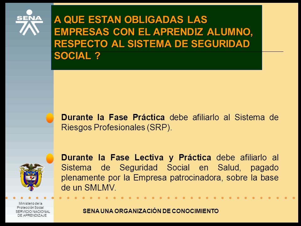 A QUE ESTAN OBLIGADAS LAS EMPRESAS CON EL APRENDIZ ALUMNO, RESPECTO AL SISTEMA DE SEGURIDAD SOCIAL