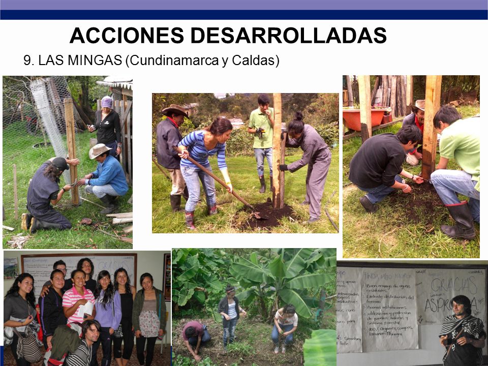 9. LAS MINGAS (Cundinamarca y Caldas)
