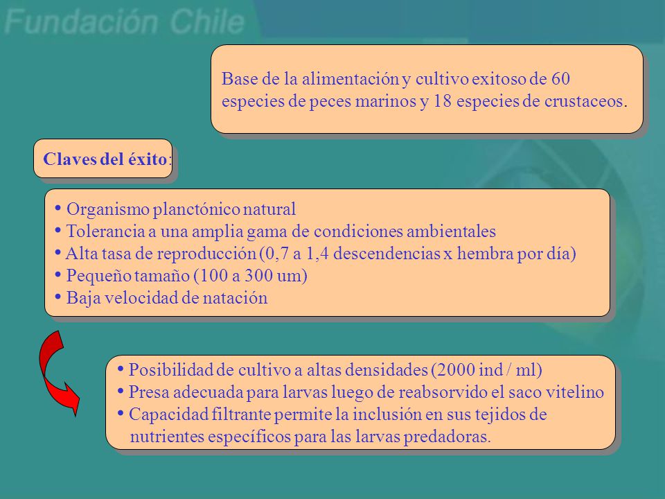 Base de la alimentación y cultivo exitoso de 60