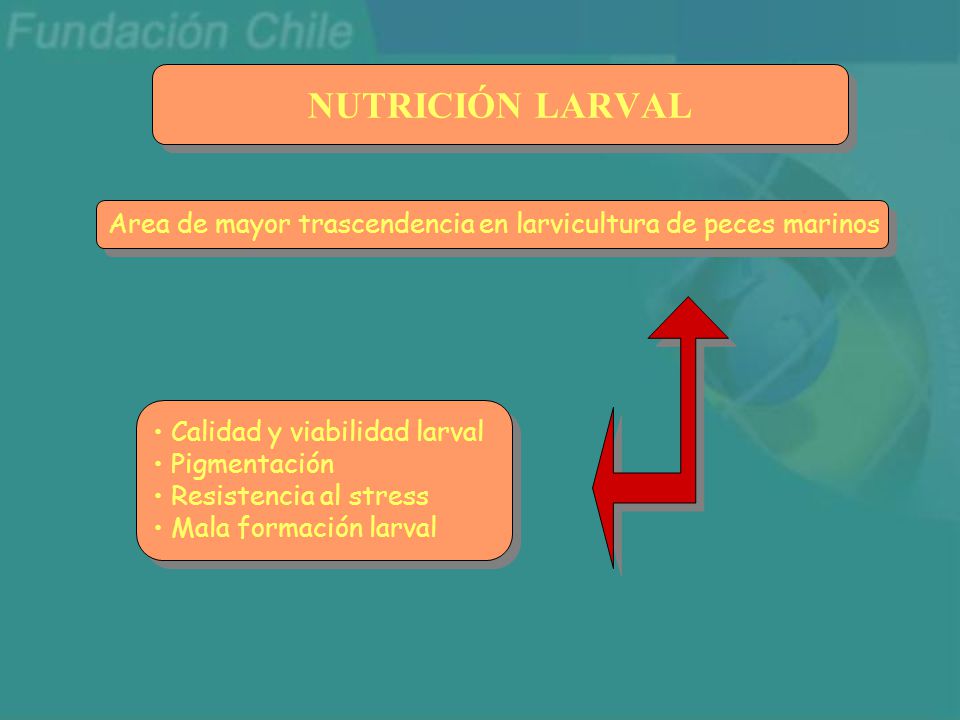 NUTRICIÓN LARVAL Area de mayor trascendencia en larvicultura de peces marinos. Calidad y viabilidad larval.