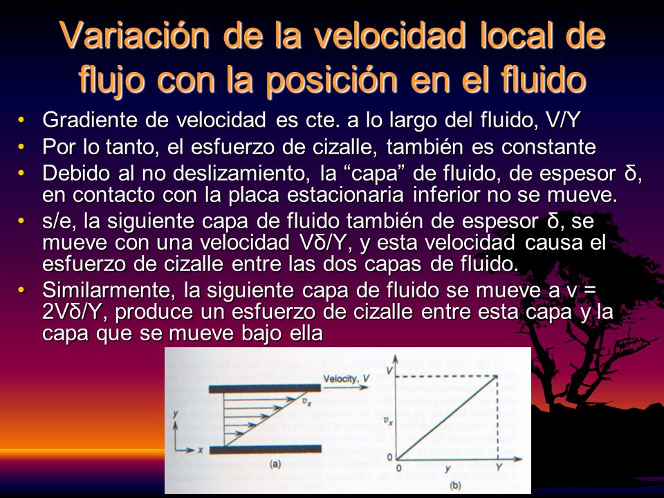 Variación de la velocidad local de flujo con la posición en el fluido