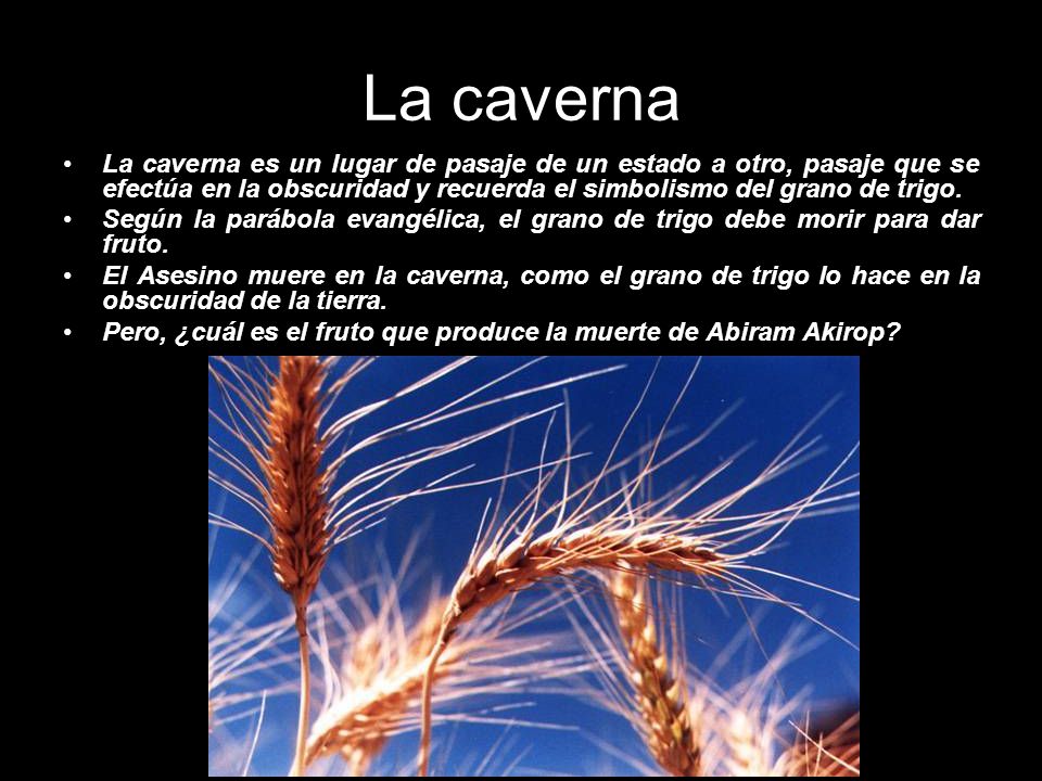 La caverna La caverna es un lugar de pasaje de un estado a otro, pasaje que se efectúa en la obscuridad y recuerda el simbolismo del grano de trigo.