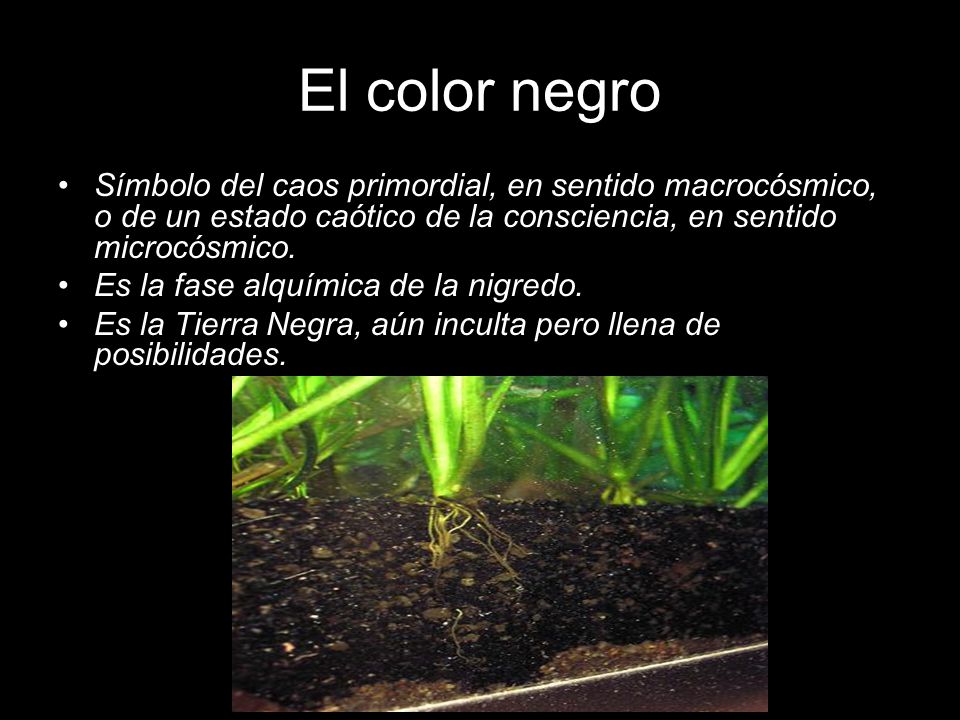 El color negro Símbolo del caos primordial, en sentido macrocósmico, o de un estado caótico de la consciencia, en sentido microcósmico.