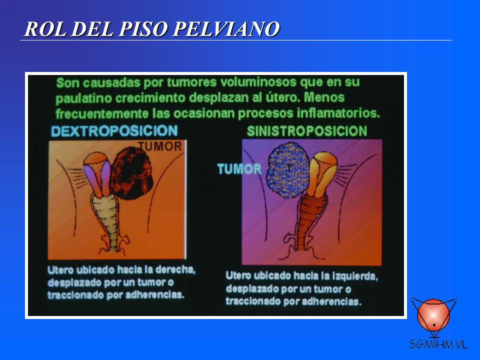 ROL DEL PISO PELVIANO