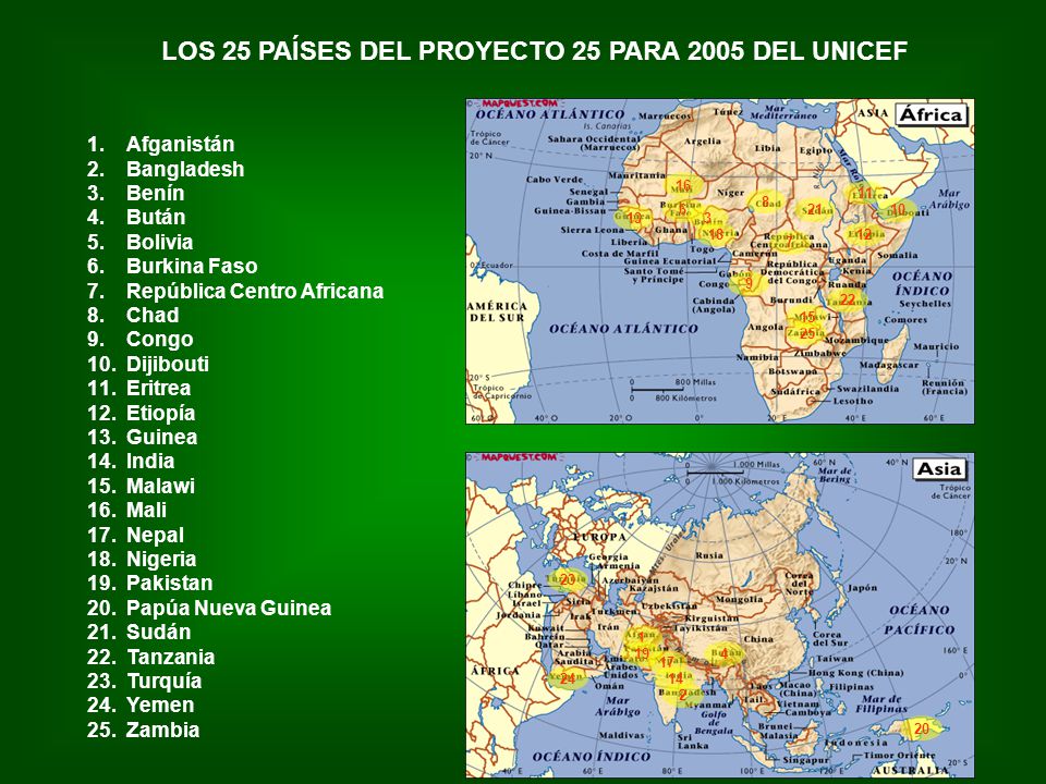 LOS 25 PAÍSES DEL PROYECTO 25 PARA 2005 DEL UNICEF