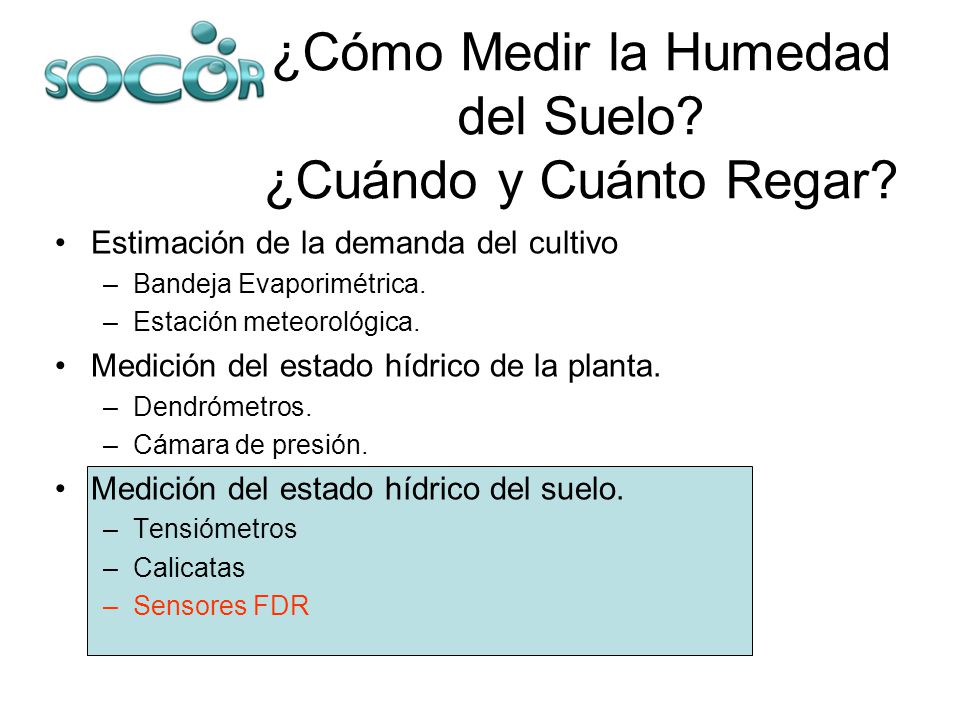 ¿Cómo Medir la Humedad del Suelo ¿Cuándo y Cuánto Regar