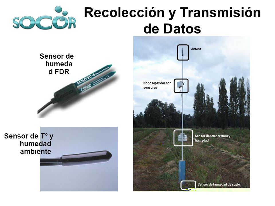 Recolección y Transmisión de Datos Sensor de T° y humedad ambiente