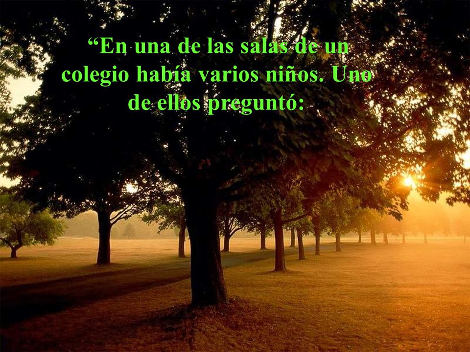 En una de las salas de un colegio había varios niños