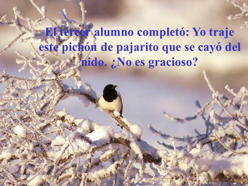 El tercer alumno completó: Yo traje este pichón de pajarito que se cayó del nido. ¿No es gracioso
